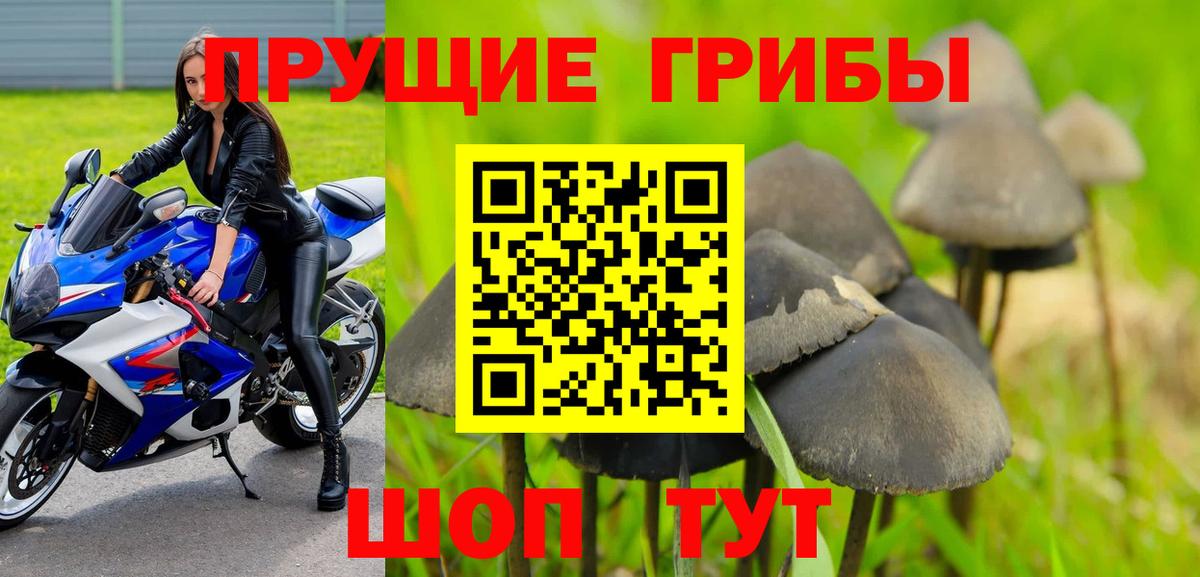 Новотроицк  Галлюциногенные грибы прущие грибы  Вход с VPN 