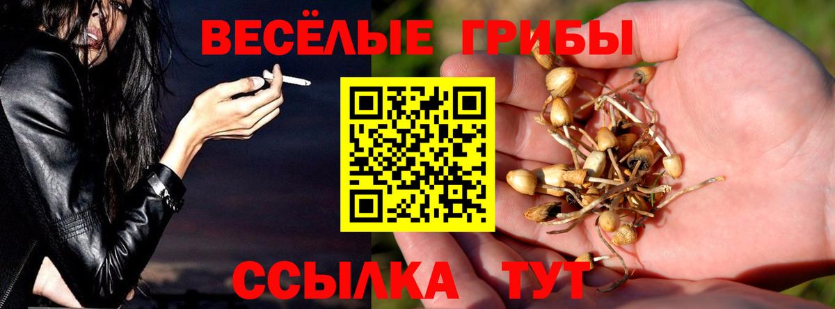 Псилоцибиновые грибы Cubensis Новотроицк